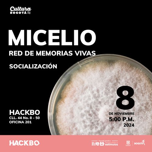 Micelio Red de memorias vivas