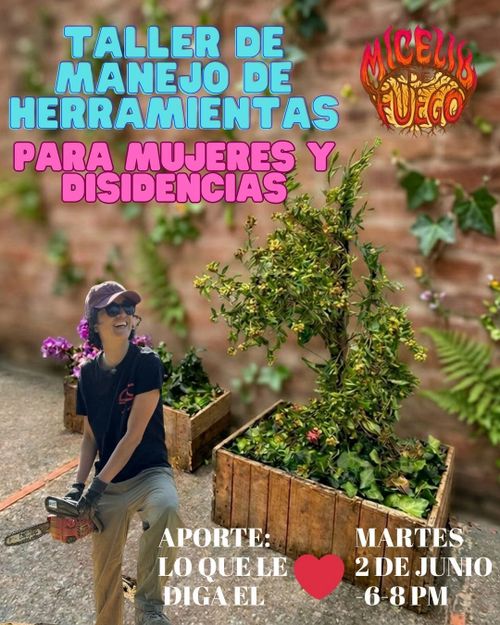 Taller de manejo de herramientas para mujeres y disidencias 