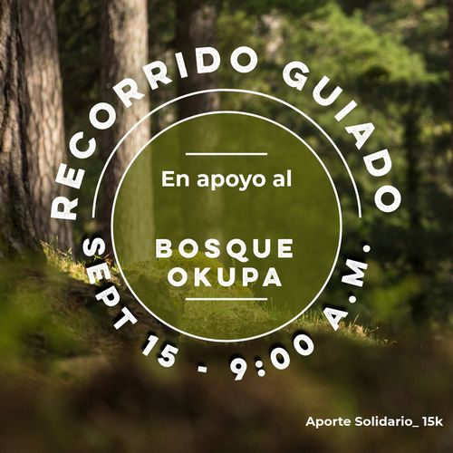 Recorrido Bosque Okupa