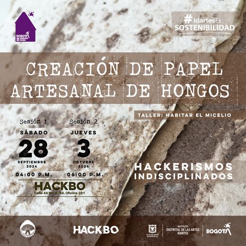 Taller: creación de papel con Hongos